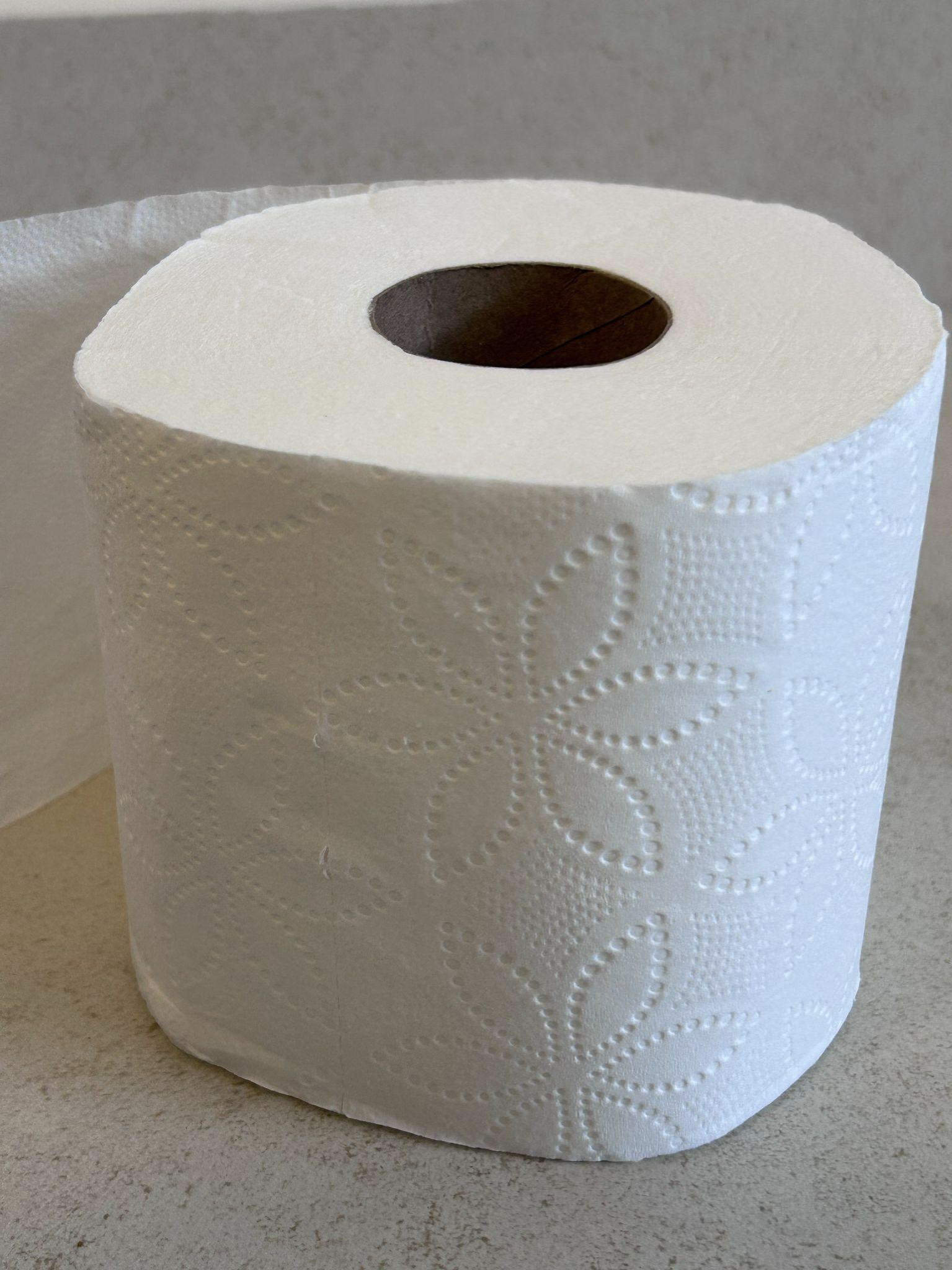 Single Kirkland bath tissue roll